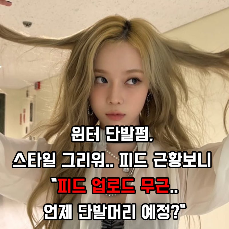 윈터 단발펌, 스타일 그리워.. 피드 근황보니 "피드 업로드 무근..언제 단발머리 예정?"