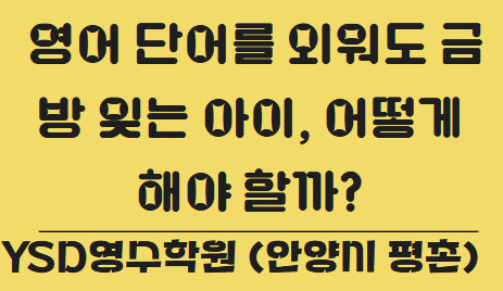   영어 단어를 외워도 금방 잊는 아이, 어떻게 해야 할까? (YSD영수학원 안양시 평촌)