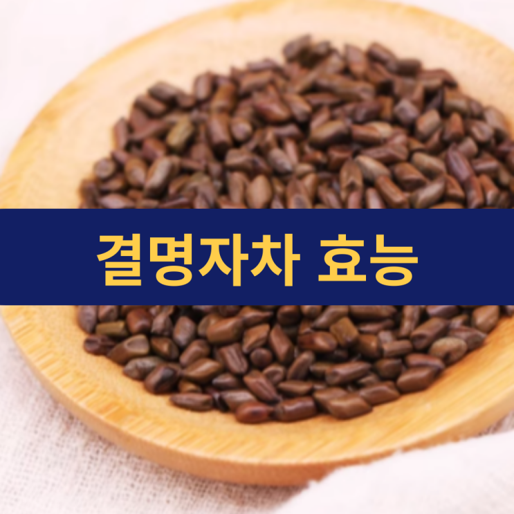  결명자차 효능 | 결명자효능 | 결명자차 끓이는 방법 | 믈 대신 마셔도 되는지?