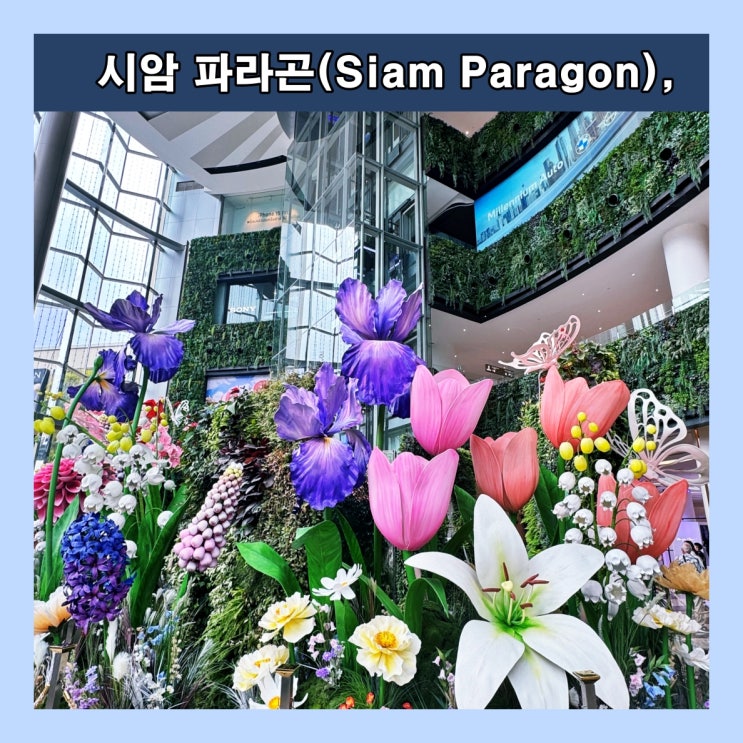  [방콕] 방콕 최고의 대형 쇼핑센터 '시암 파라곤(Siam Paragon)'