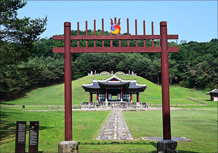  왕의 숲을 걷다... 동구릉 숲길