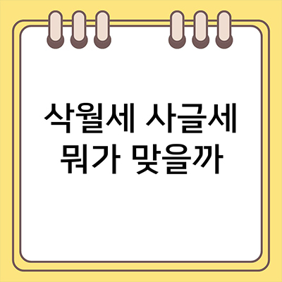  삭월세 사글세 뭐가 맞을까