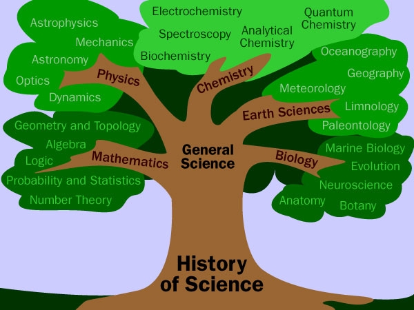  2023년 6월 고2 영어 모의고사 23번 / Education must focus on the trunk of the tree of knowledge