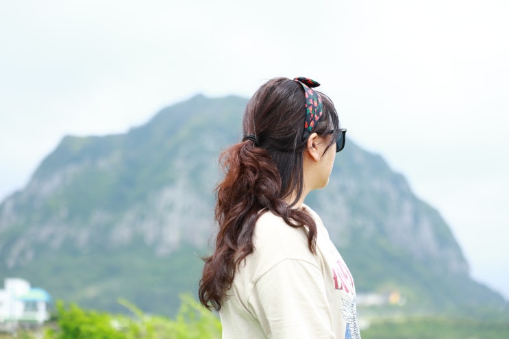  제주도 패키지 단체여행 추천 상품이 단독인지 노쇼핑인지 확인하세요