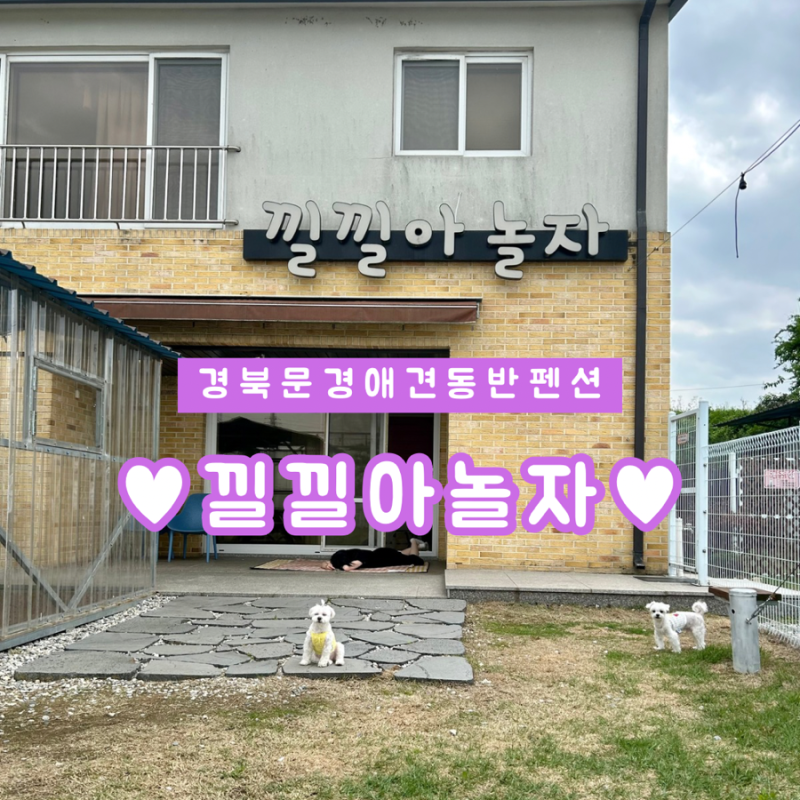 사진 5