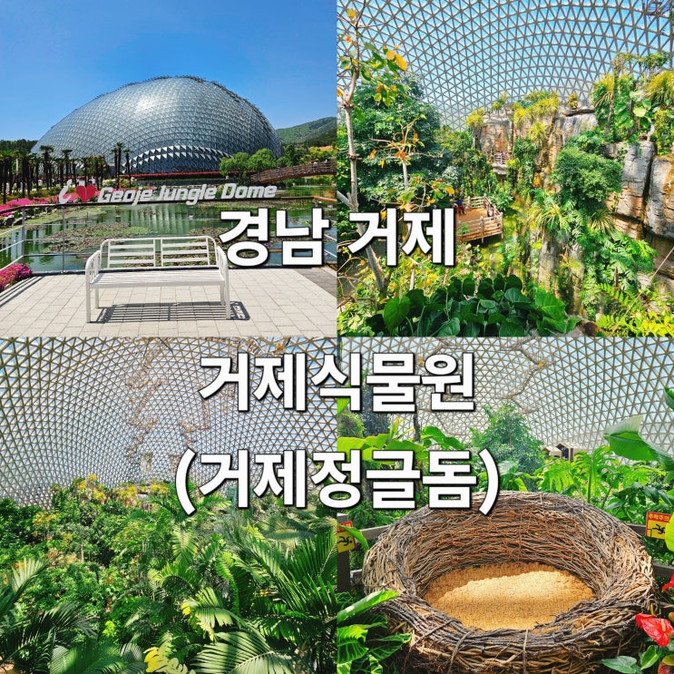  경남 거제 실내여행지 정글뷰 새둥지 포토존 '거제 정글돔'