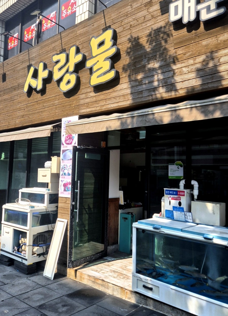 사랑물 사진 2
