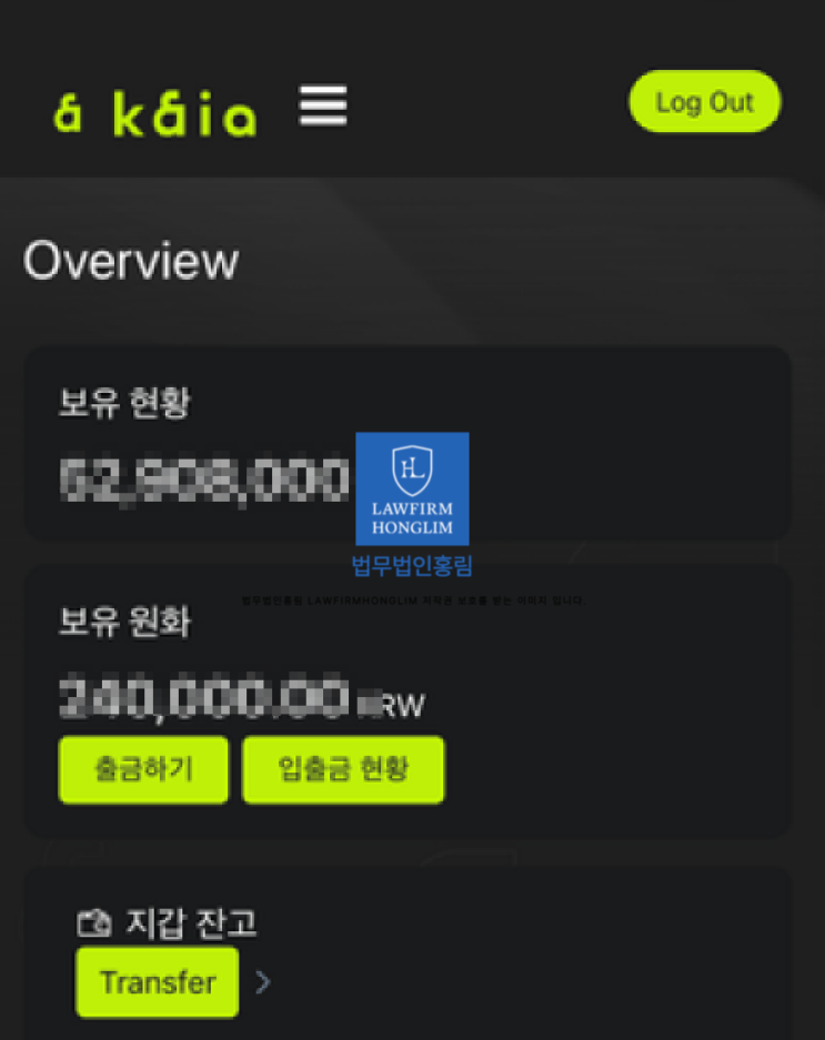  카이아코인 사기 형사고소 사례(KAIA코인 사기 사건)