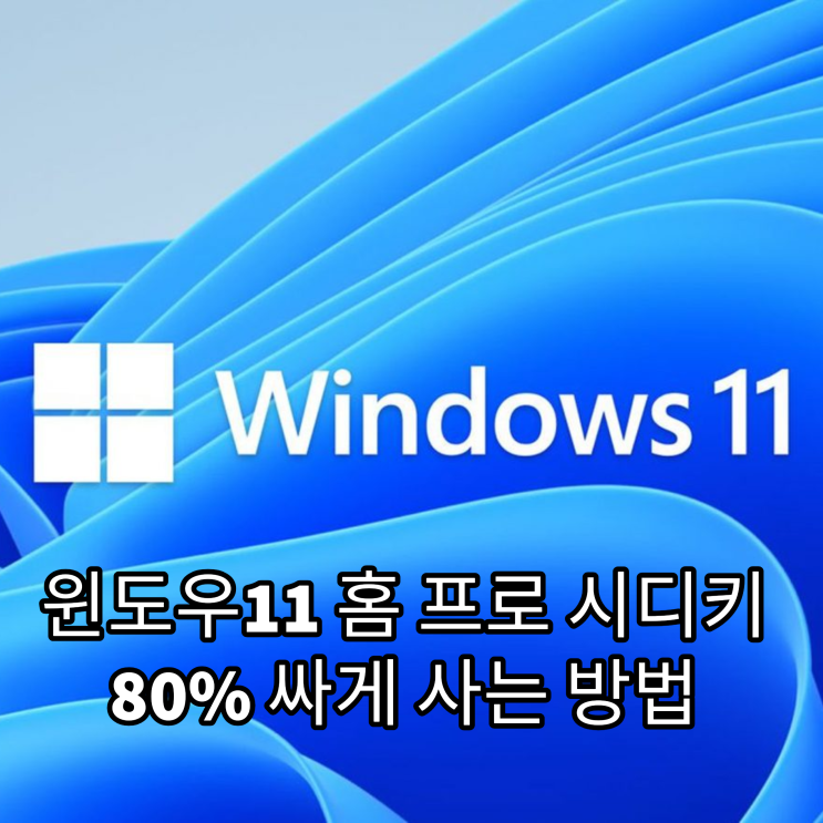 윈도우11 홈 프로 시디키 80프로 싸게 사는 방법