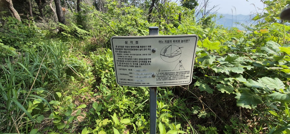 뒤린골이산 사진 6