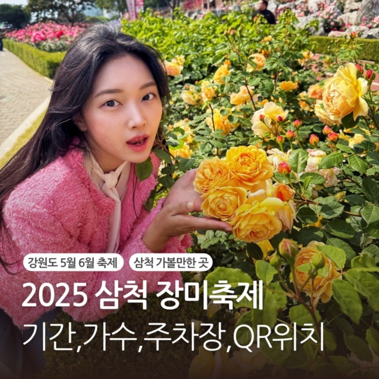  삼척 장미축제 2025 기간 가수 일정 주차장 황금장미 위치