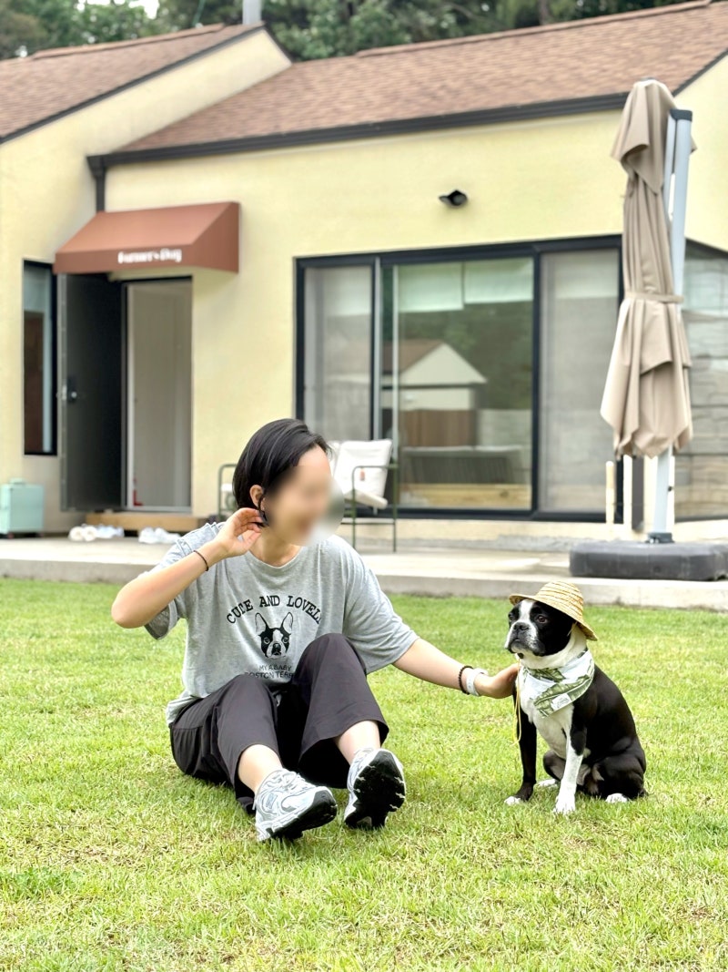 사진 5