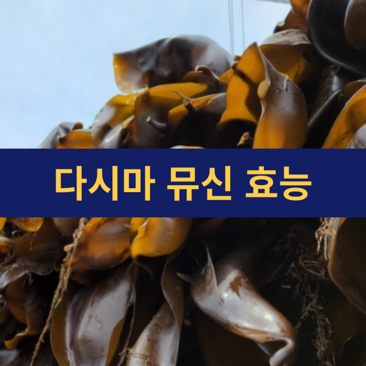  뮤신 효능 | 다시마효능 | 끈적한 뮤신의 놀라운 효능