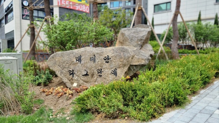  “래미안 라그란데, 조경석 1개에 6000만원? 입주민 동의 없는 ‘돌 설치’ 논란”