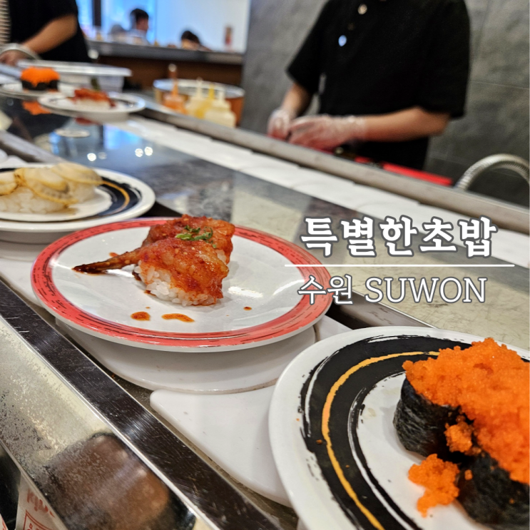 영통 초밥, 한접시1890원 특별한초밥 데이트 추천 영통 초밥, 한접시1890원 특별한초밥 데이트 추천