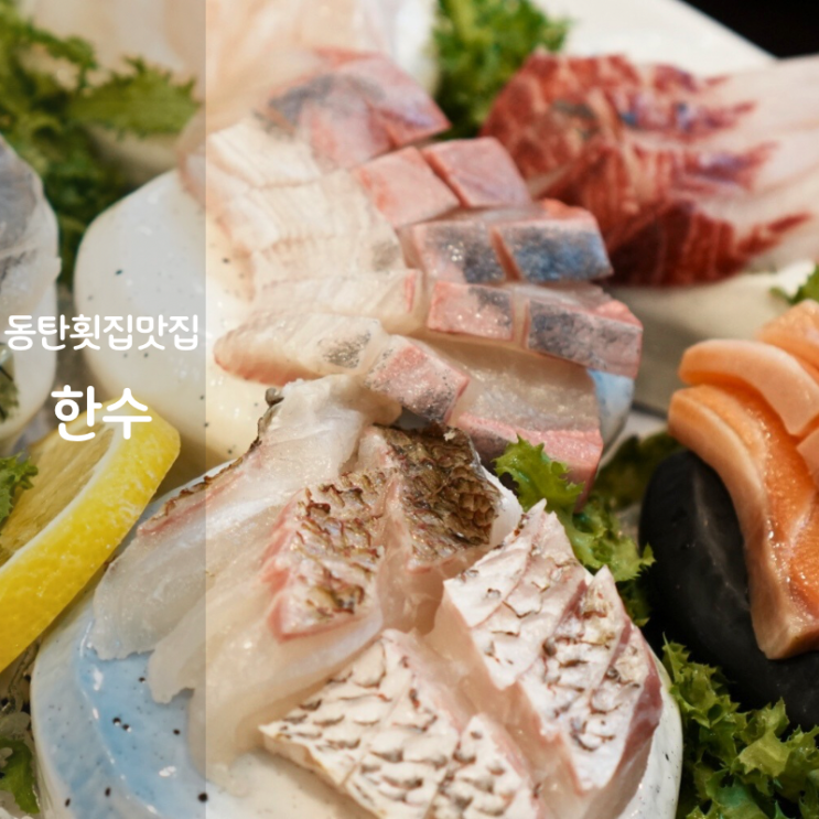  동탄 횟집 한국회수산 사시미 모듬회 센트럴파크 맛집