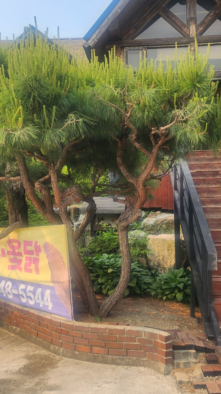 해든터 사진 2