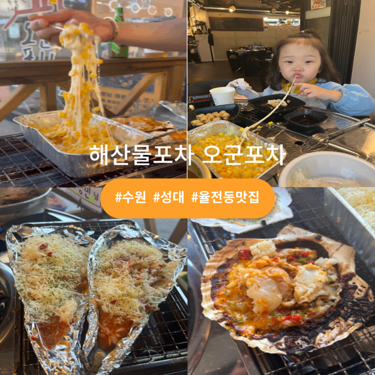  수원성대맛집 오군포차성대점