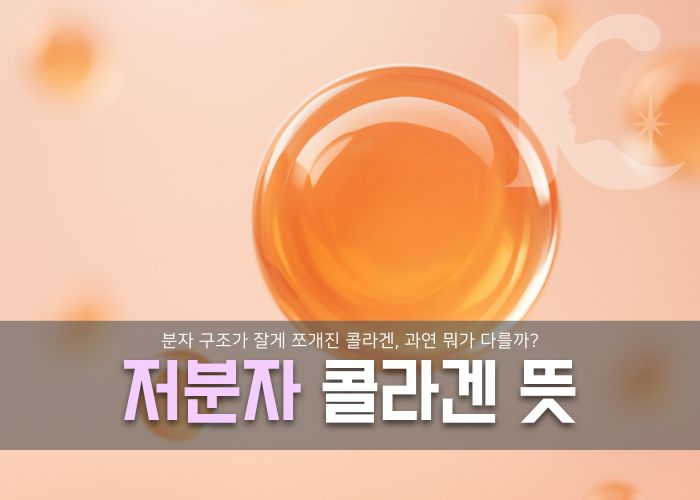 콜라겐 저분자 뜻과 효과까지 알아본다면