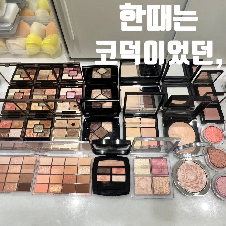  한때는 코덕이었던 피부과전문의의 화장품이야기 (기초+베이스메이크업+색조)