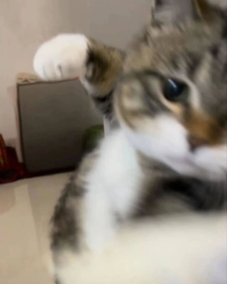  0519-0525 / 부랴부랴 올려보는 주간일기