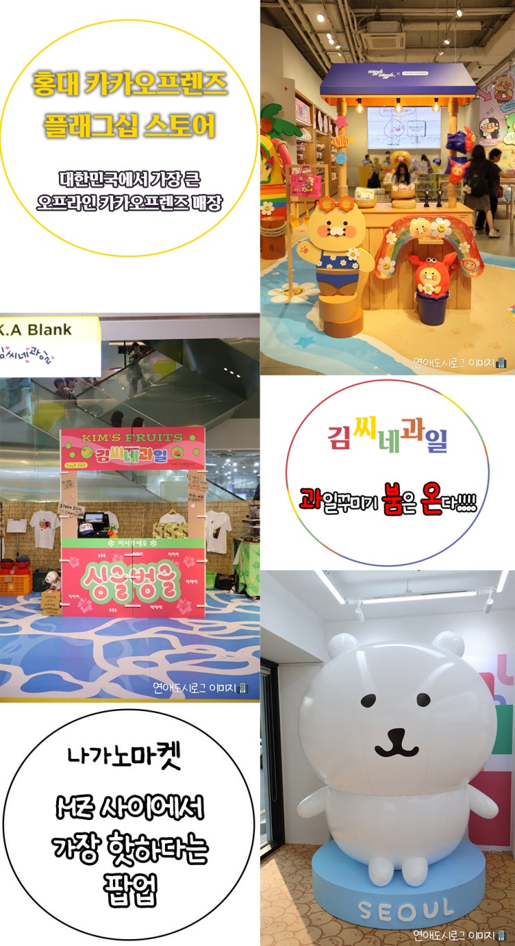  2025 홍대 가볼만한곳 추천 3가지 직접 다녀온 후기 총정리