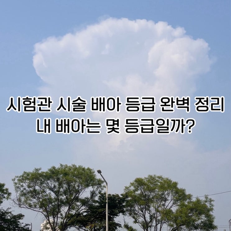  시험관 시술 배아 이식 갯수, 등급 완벽 정리｜내 배아는 몇 등급일까?