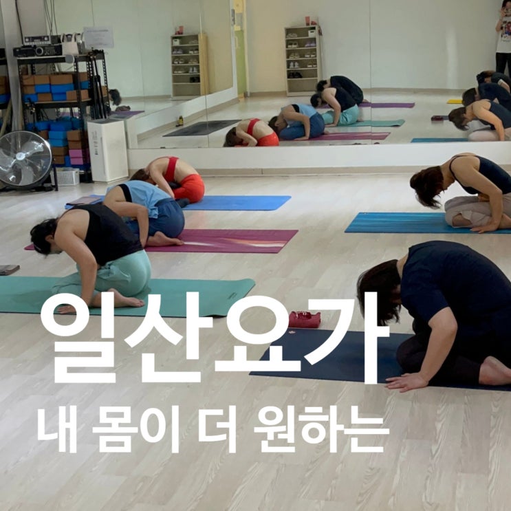  일산요가 내 몸이 더 고마워하는 시간