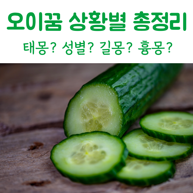 오이꿈해몽 오이태몽 성별 오이 사는꿈 오이 먹는꿈 오이 따는꿈 오이꽃 보는꿈 등 총정리