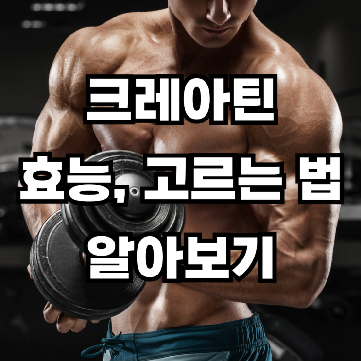 크레아틴 효능 고르는법 알아보기