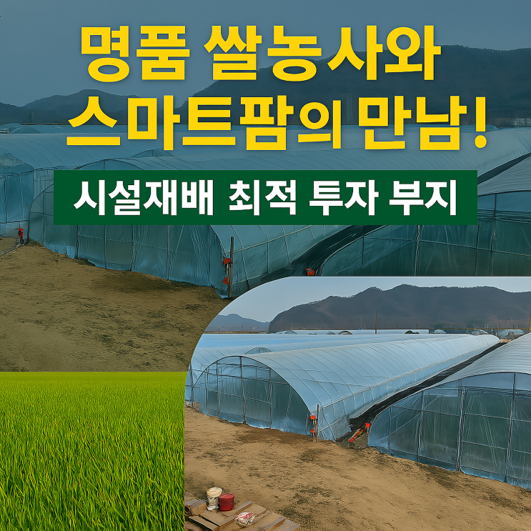   이천 모가면 논에 심는 미래! 시설재배/스마트팜으로 성공하는 쌀농사 투자!