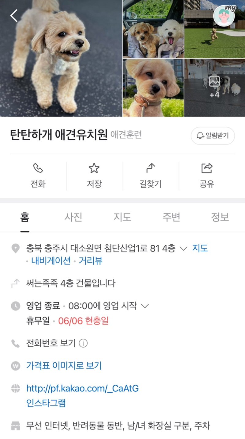 탄탄하개 애견유치원