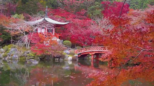  제주도에서 꼭 가봐야 할 숨은 명소들!