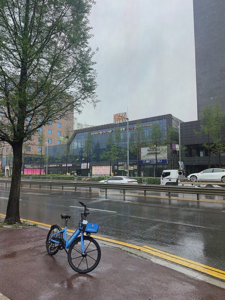  하이크랩의 특별한 해산물, 내근처맛집으로 추천!