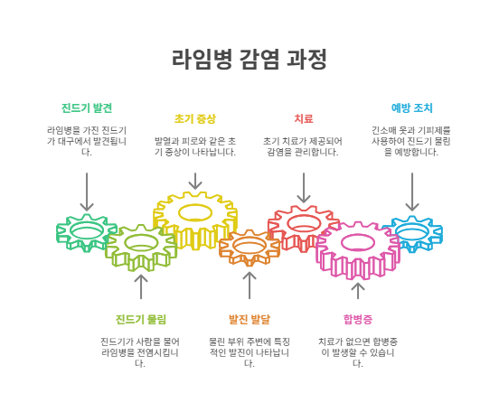   물리면 온몸으로 퍼지는 무서운 병! 라임병 진드기 발견