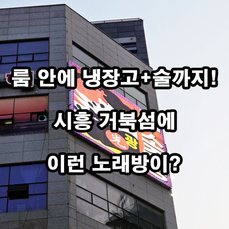  시흥 거북섬 노래방 후기｜똥광노래타운 룸 안에 술냉장고가?!