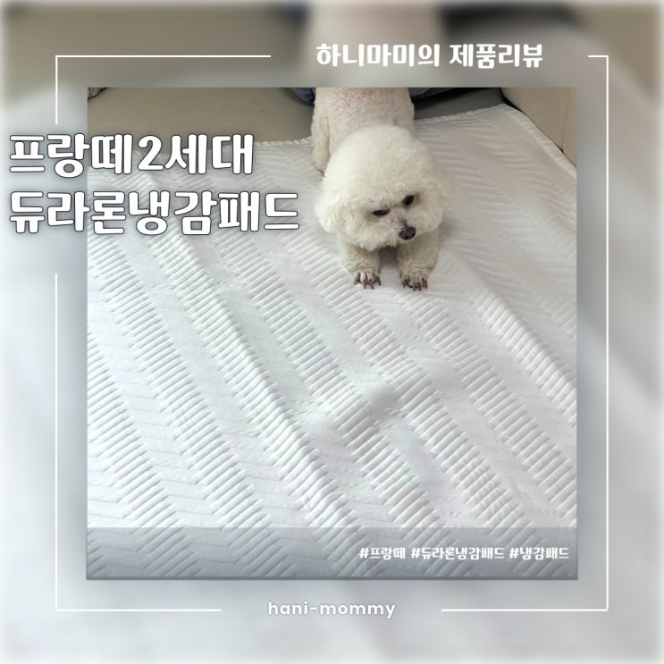 시원한 여름밤을 위한 선택, 프랑떼 2세대 듀라론 냉감패드 시원한 여름밤을 위한 선택, 프랑떼 2세대 듀라론 냉감패드