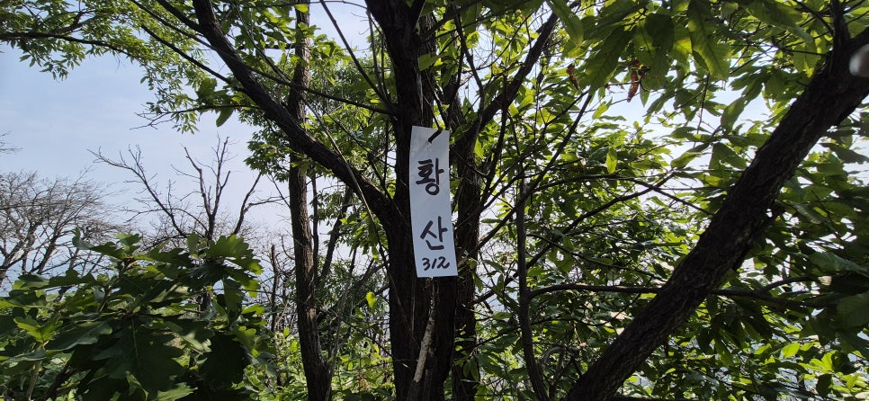 뒤린골이산 사진 5