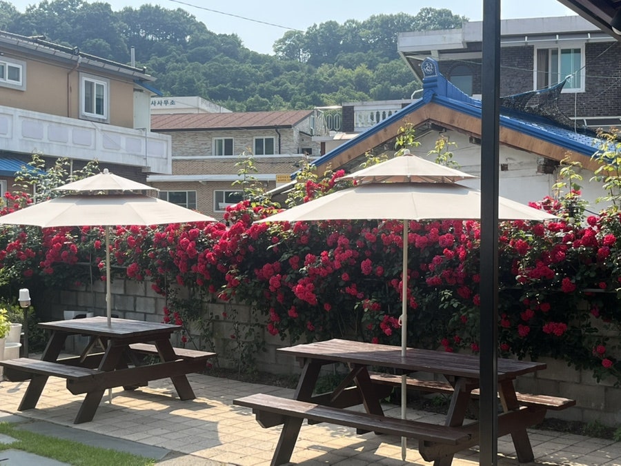 카페리치 사진 2