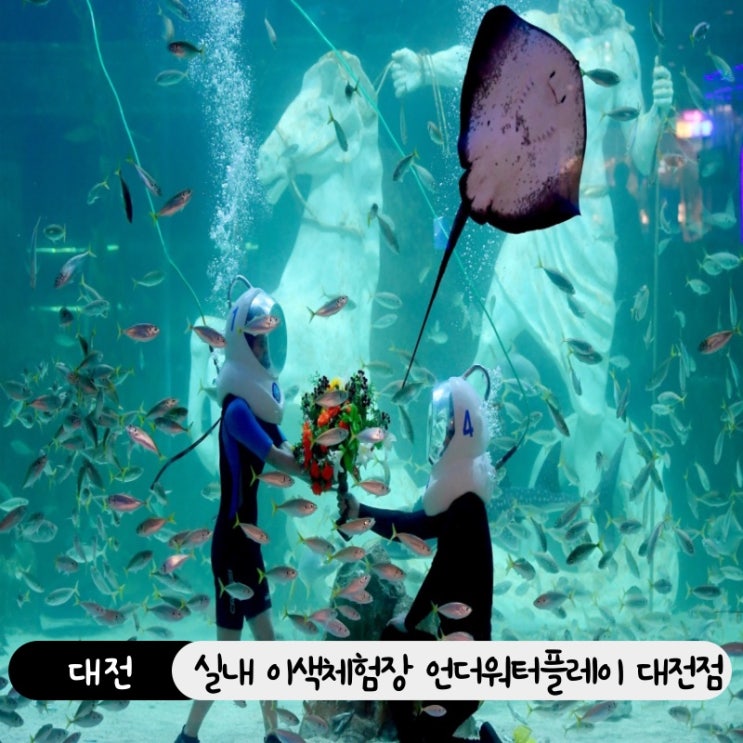  대전 실내체험 추천! 언더워터플레이 대전점 위치, 예약, 요금 정보