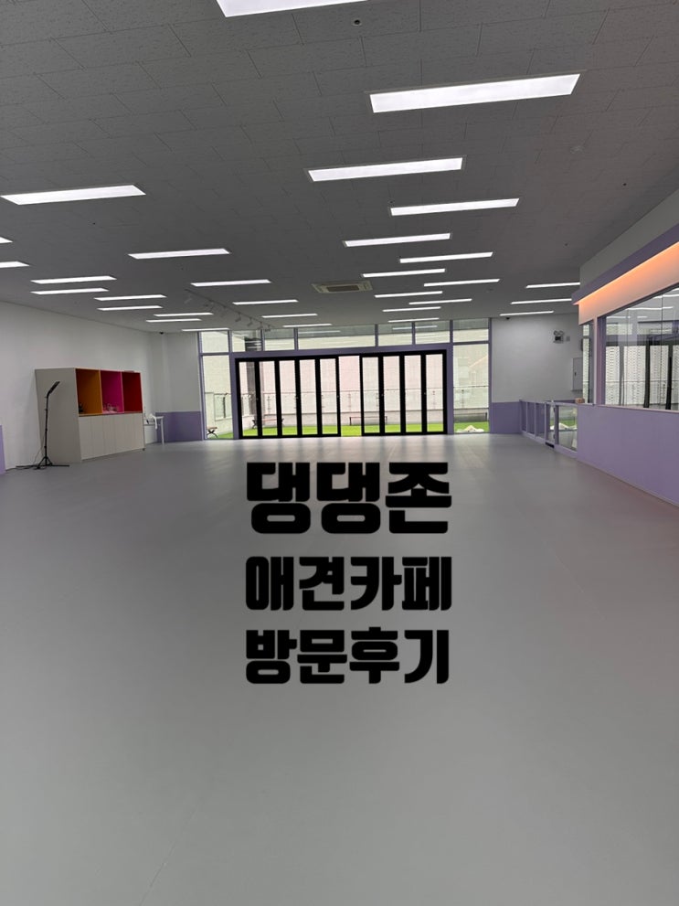  [영종도/운남동]댕댕존 - 평일엔 애견유치원 주말엔 애견카페