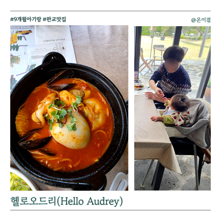  9개월 아기와 갈만한 판교 맛집 헬로오드리 무료 실내 식물원