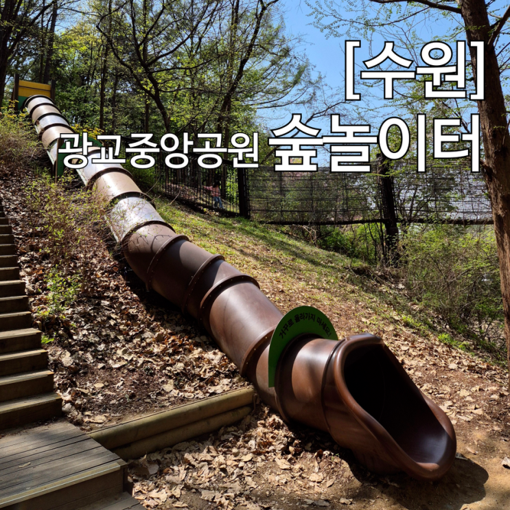  수원 광교중앙공원 숲놀이터 유아숲체험원 자연 속 피크닉 주차 정보