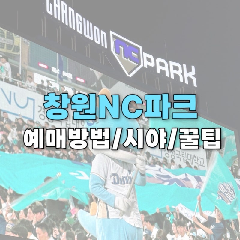 nc다이노스 예매방법 티켓팅 자리 시야 확인