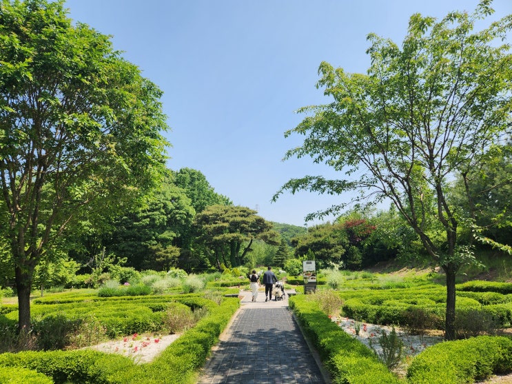  일산 아이랑 가볼만한곳 고양 플랜테이션 카페 추천