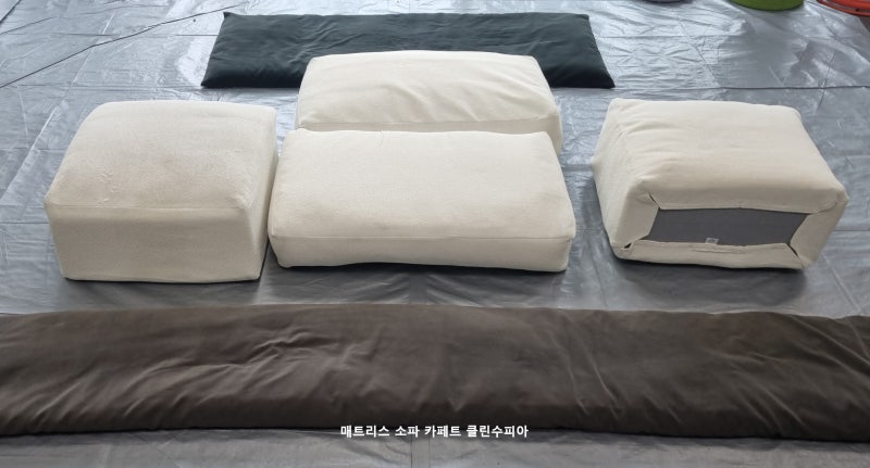 사무실에 들어온 길고양이!패브릭소파 오줌냄새제거 얼룩세탁