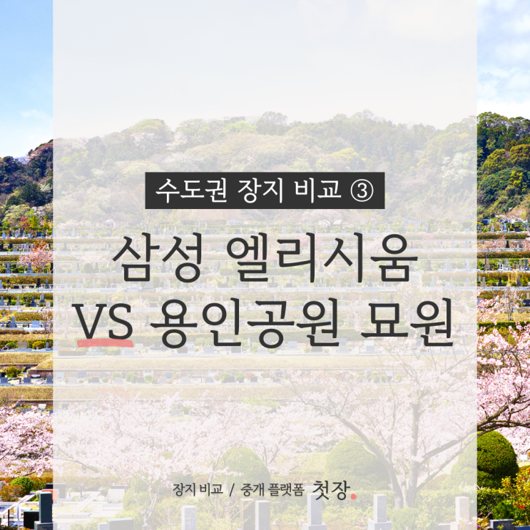  삼성엘리시움 vs 용인공원묘원 공원묘지 가격·조건 비교해 드립니다.