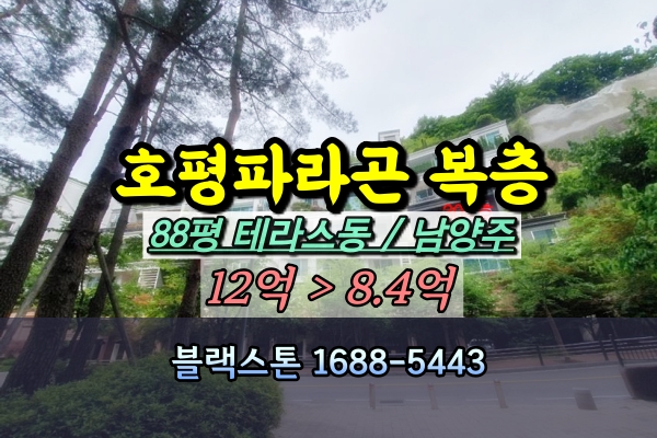  호평파라곤 테라스동 복층아파트 경매 84평 10억 [2024타경2637]