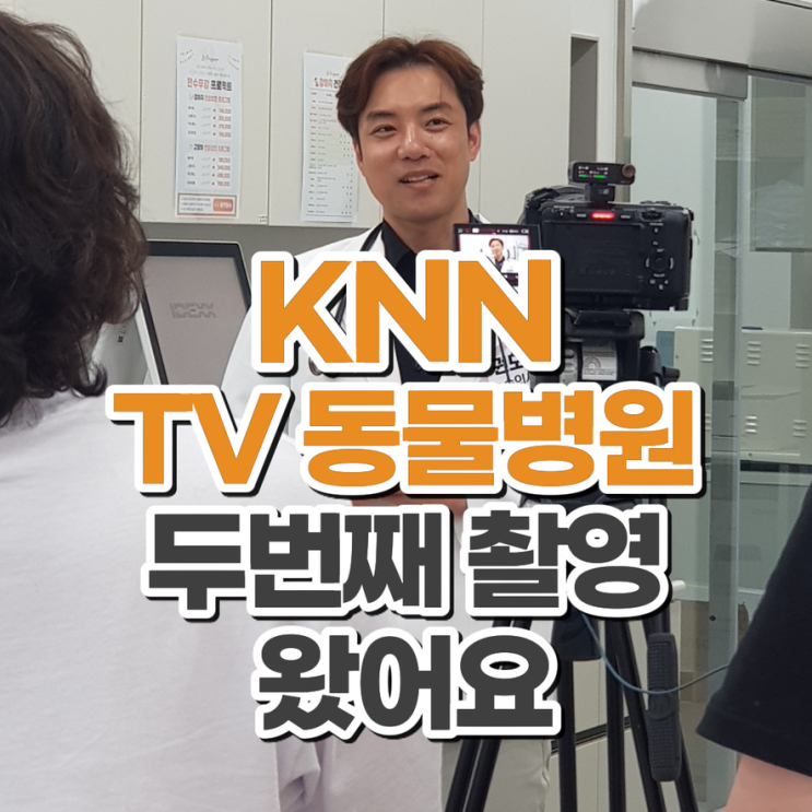  권도형 대표원장 KNN TV동물병원 두번째 촬영 소식 닥터펫동물의료센터 부산24시동물병원