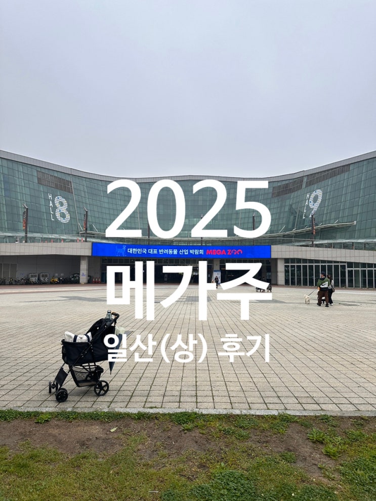  2025 메가주 일산 - 나의 목적은 단 하나, 강릉세인트존스 예약